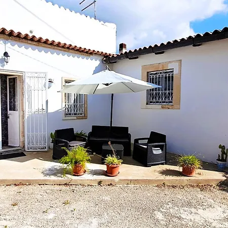 Hibiscus Siracusa Syracuse