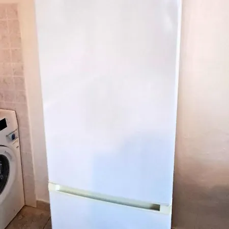 Hibiscus Siracusa Syracuse