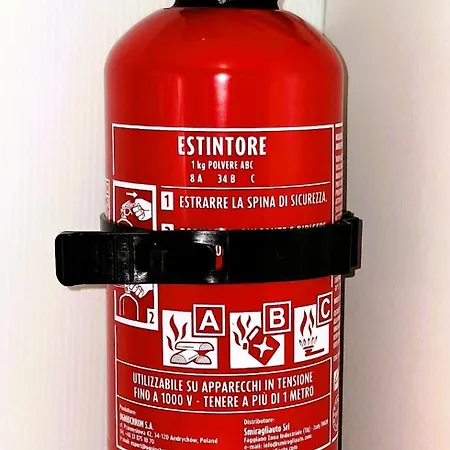 Hibiscus Siracusa * Syracuse